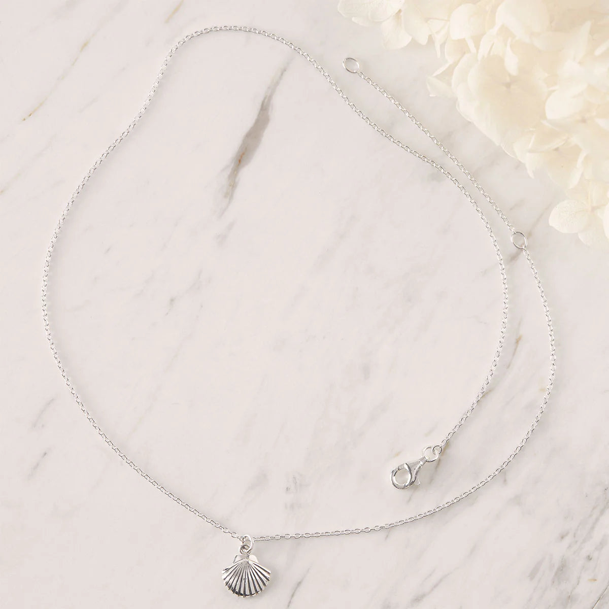 Dainty Seashell Choker