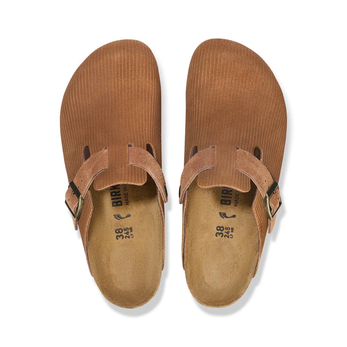 Boston in Dark Tea Corduroy