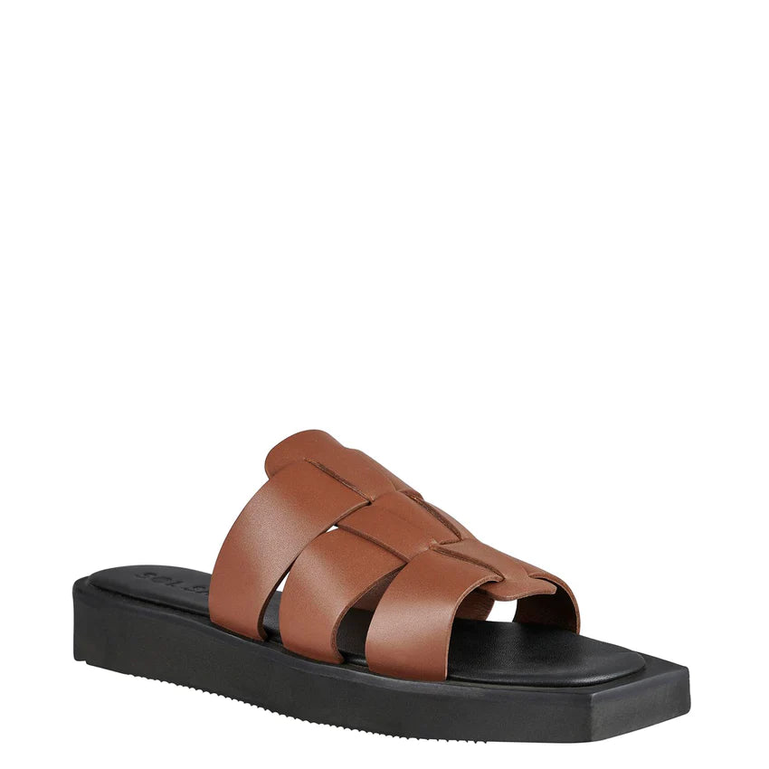 Mare Slides in Cocoa