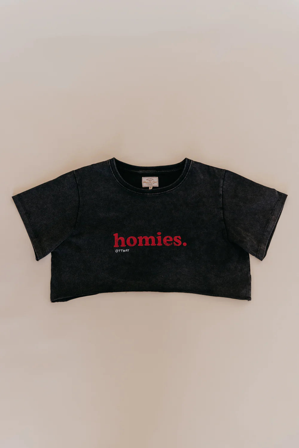 Homies Cropped T-Shirt - Washed Black